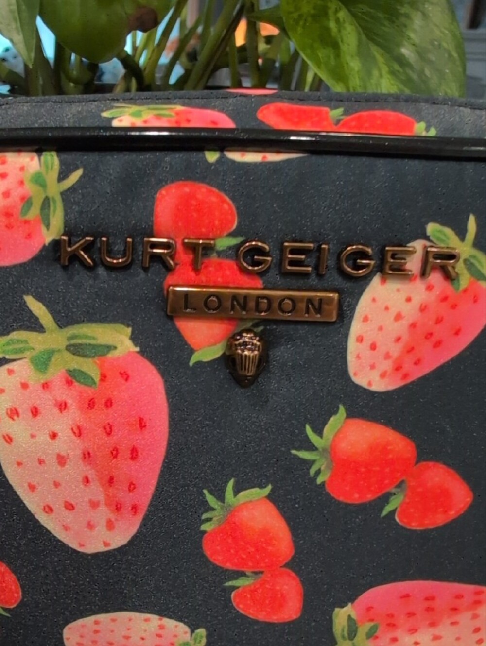 Kurt Geiger Camera Crossbody Bag with Strawberry Print - Picture 2 of 7